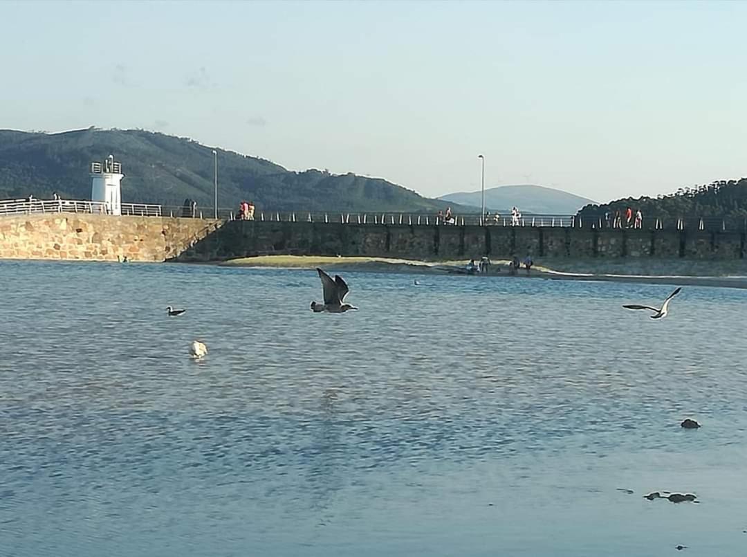 Foz, Ven Y Disfruta Galicia 아파트 외부 사진
